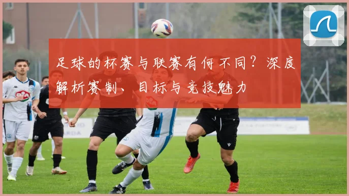 足球的杯赛与联赛有何不同?深度解析赛制、目标与竞技魅力